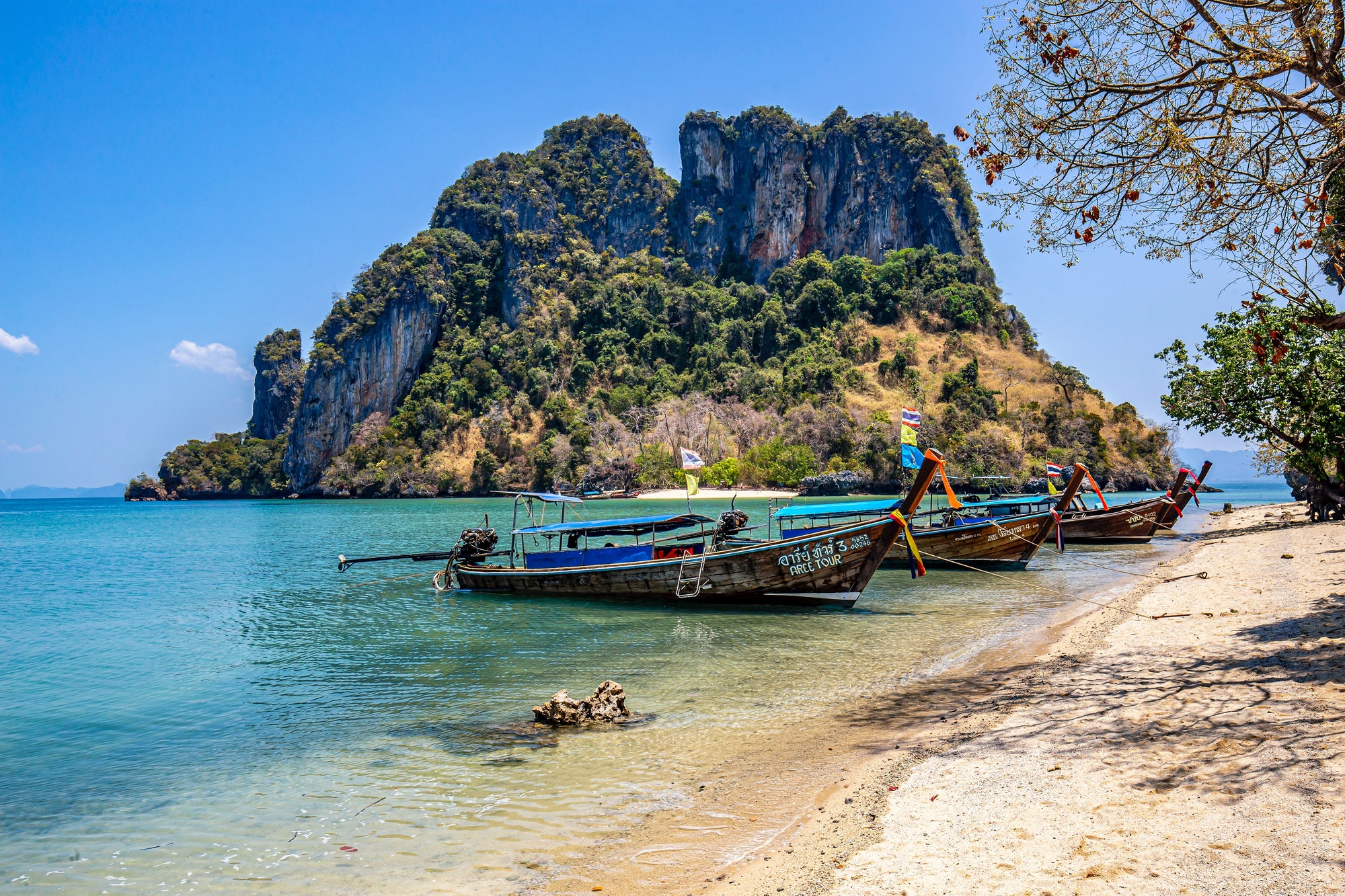 Temples & Tuk Tuks: A Guide to Exploring Thailand