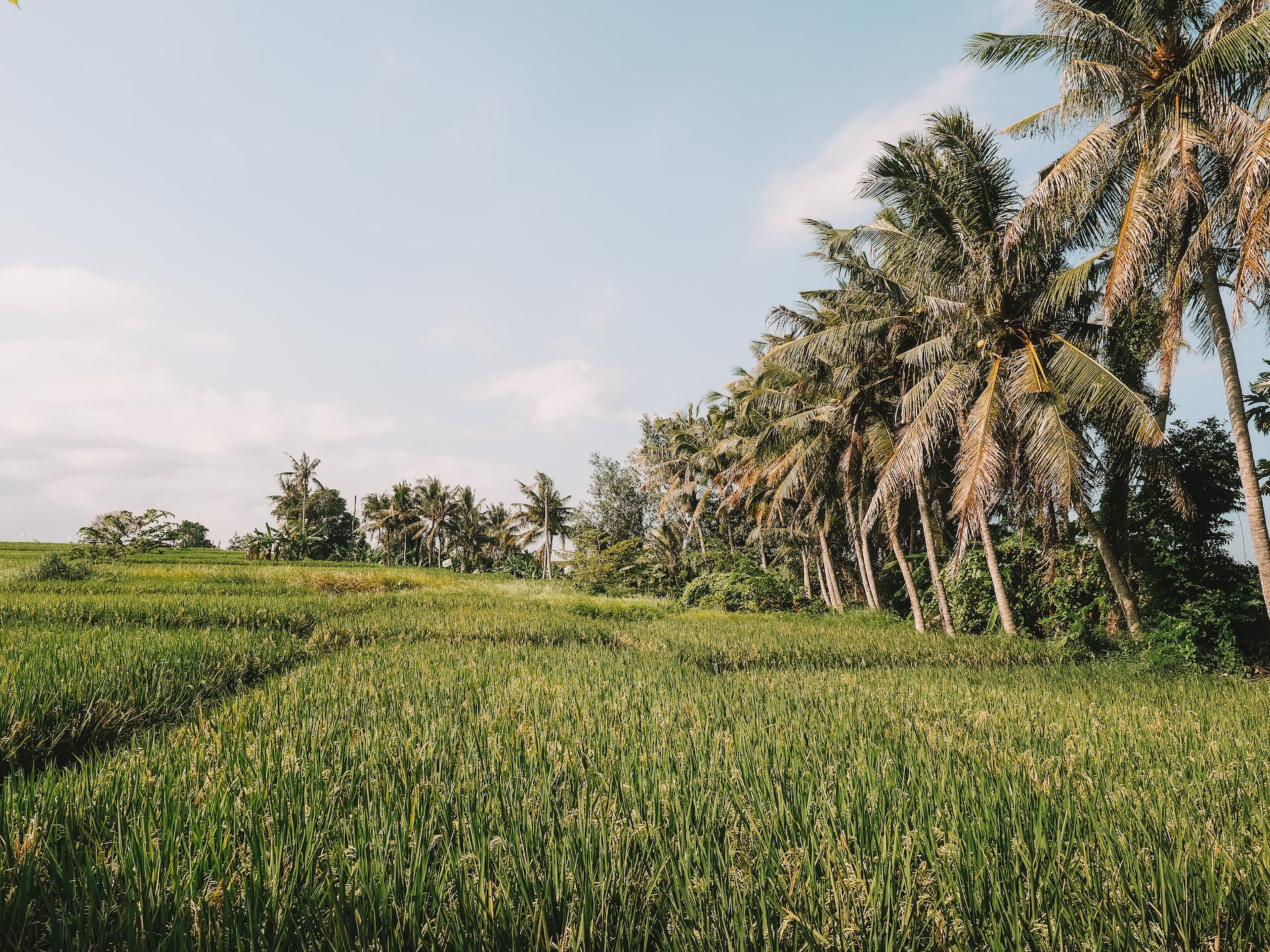 Island Of Gods: A Guide To Exploring Bali